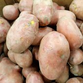 Картофель красный